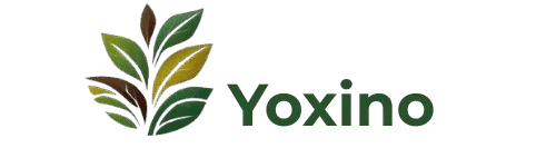 Yoxino